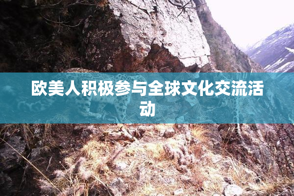 欧美人积极参与全球文化交流活动