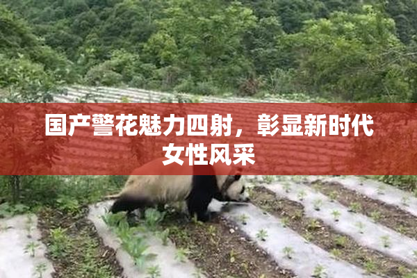 国产警花魅力四射，彰显新时代女性风采