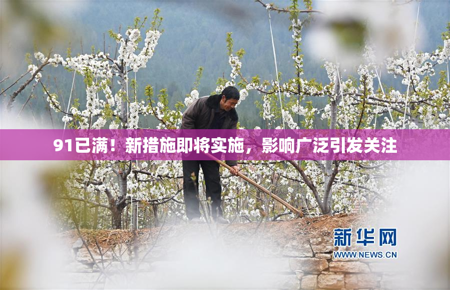91已满！新措施即将实施，影响广泛引发关注