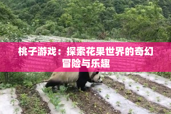 桃子游戏：探索花果世界的奇幻冒险与乐趣