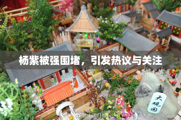 杨紫被强围堵，引发热议与关注
