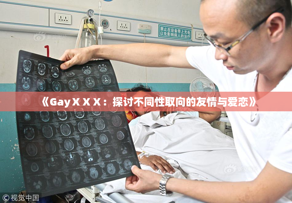 《GayⅩⅩⅩ：探讨不同性取向的友情与爱恋》