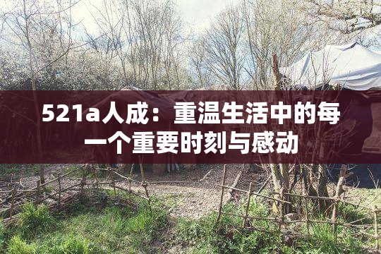 521a人成：重温生活中的每一个重要时刻与感动