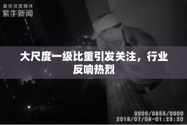 大尺度一级比重引发关注，行业反响热烈