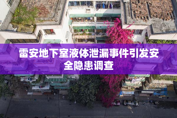 雷安地下室液体泄漏事件引发安全隐患调查
