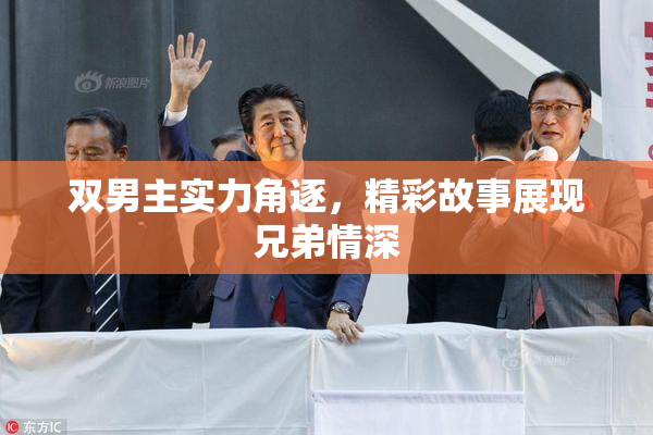 双男主实力角逐，精彩故事展现兄弟情深