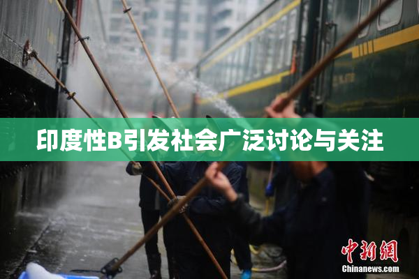 印度性B引发社会广泛讨论与关注