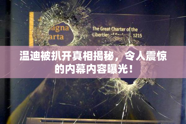 温迪被扒开真相揭秘，令人震惊的内幕内容曝光！