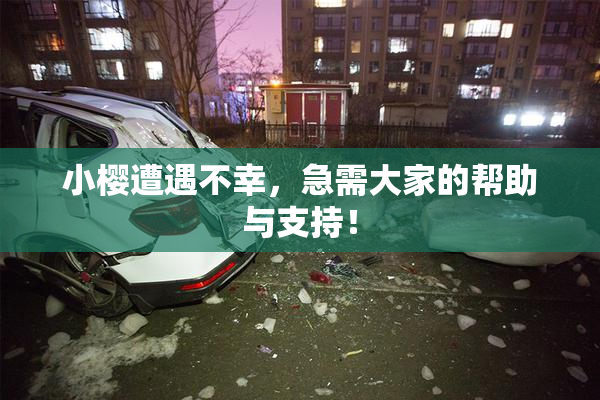 小樱遭遇不幸，急需大家的帮助与支持！