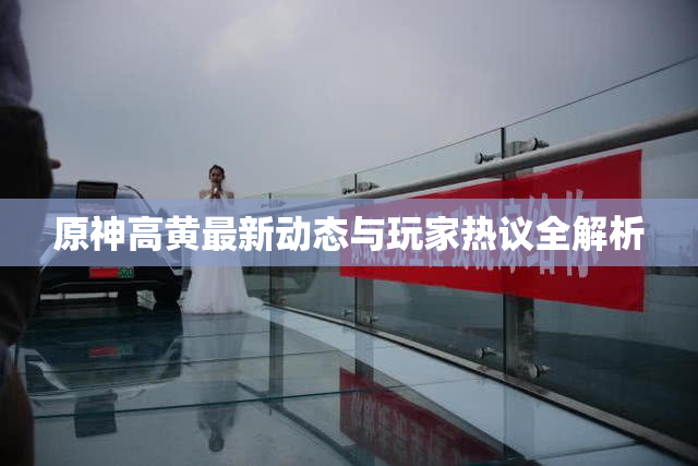 原神高黄最新动态与玩家热议全解析