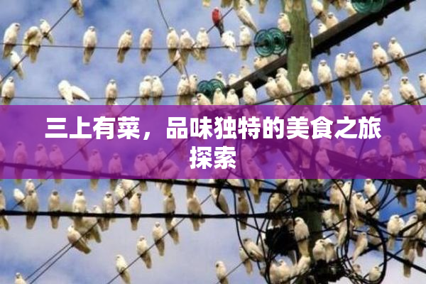 三上有菜，品味独特的美食之旅探索