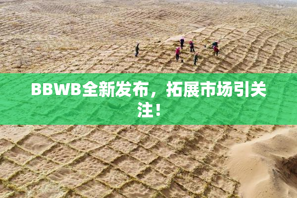 BBWB全新发布，拓展市场引关注！