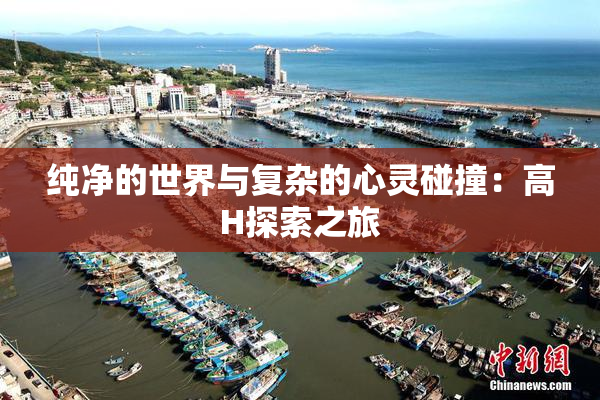 纯净的世界与复杂的心灵碰撞：高H探索之旅