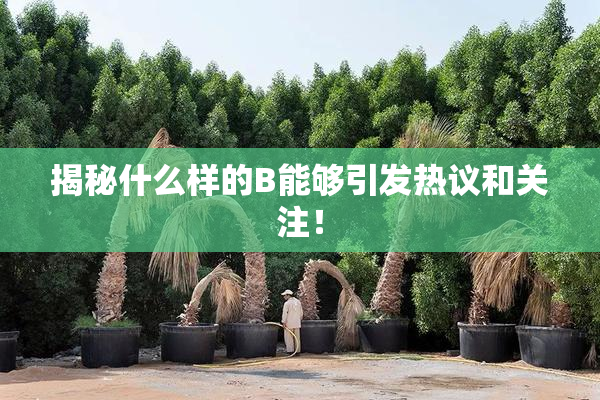 揭秘什么样的B能够引发热议和关注！