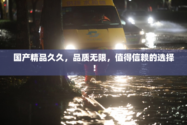 国产精品久久，品质无限，值得信赖的选择！