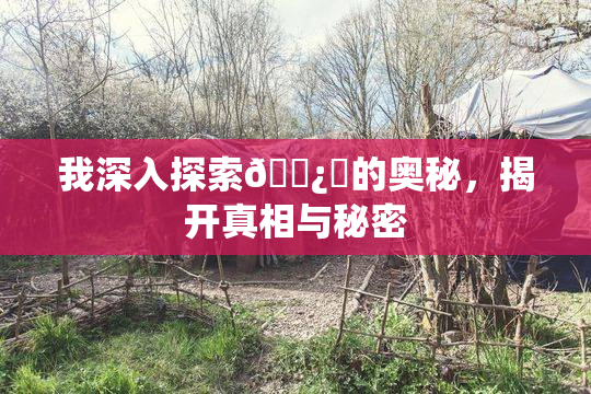 我深入探索🌿‌的奥秘，揭开真相与秘密