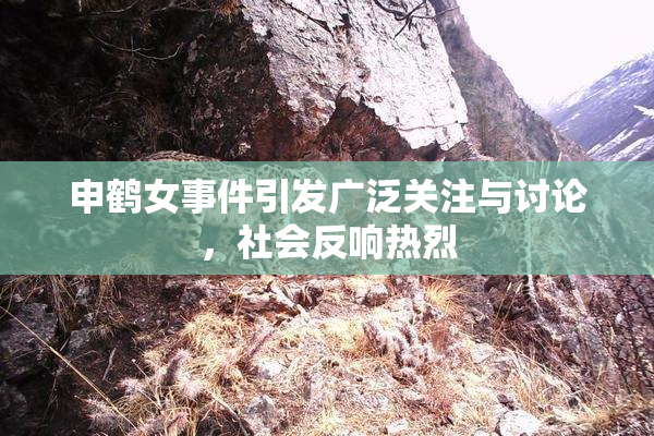 申鹤女事件引发广泛关注与讨论，社会反响热烈