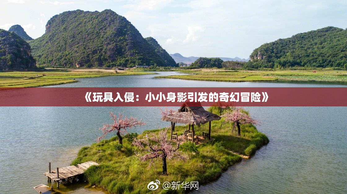 《玩具入侵：小小身影引发的奇幻冒险》