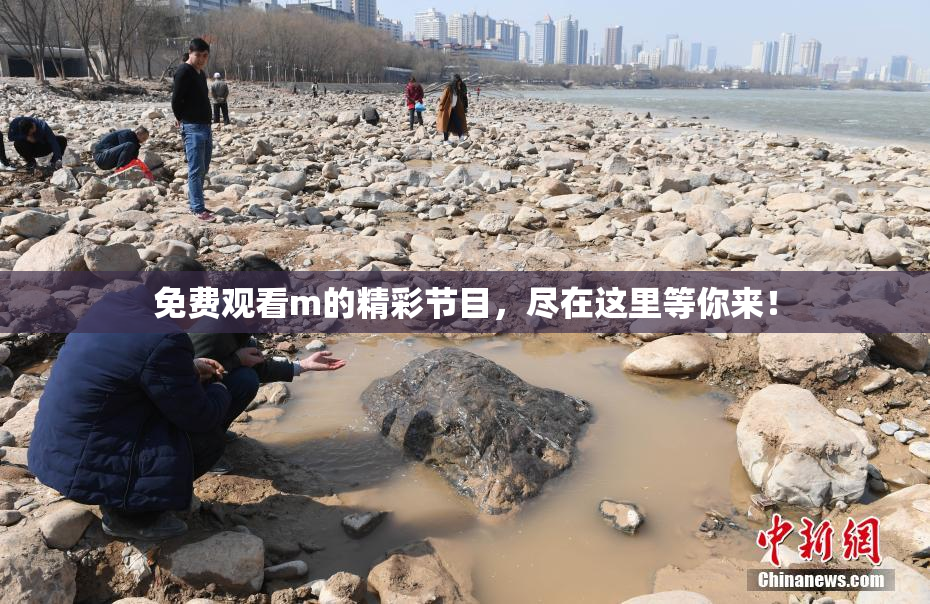 免费观看m的精彩节目，尽在这里等你来！