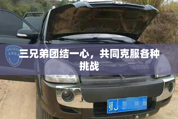 三兄弟团结一心，共同克服各种挑战