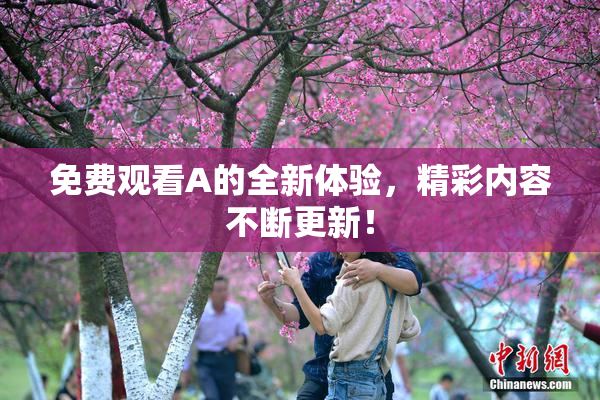 免费观看A的全新体验，精彩内容不断更新！