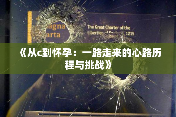 《从c到怀孕：一路走来的心路历程与挑战》