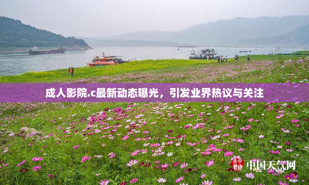 成人影院.c最新动态曝光，引发业界热议与关注