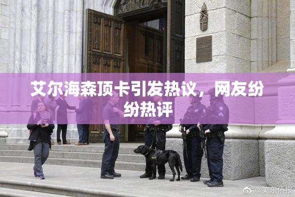艾尔海森顶卡引发热议，网友纷纷热评