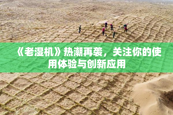 《老湿机》热潮再袭，关注你的使用体验与创新应用