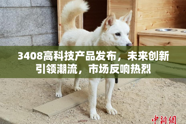 3408高科技产品发布，未来创新引领潮流，市场反响热烈