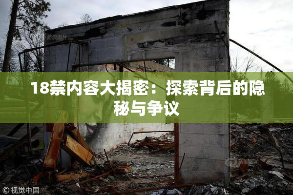 18禁内容大揭密：探索背后的隐秘与争议