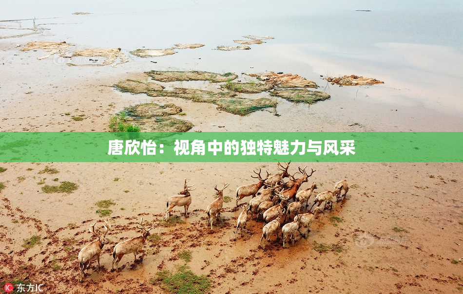 唐欣怡：视角中的独特魅力与风采