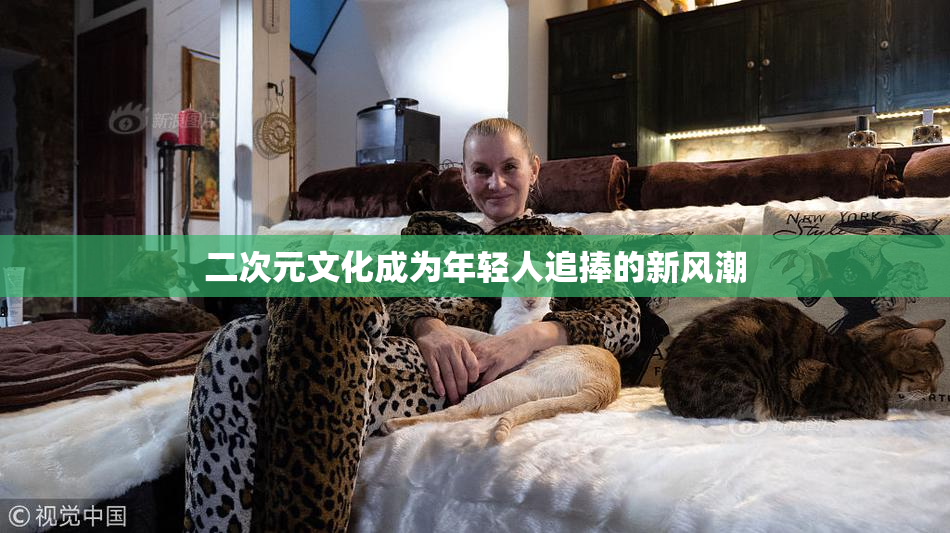 二次元文化成为年轻人追捧的新风潮