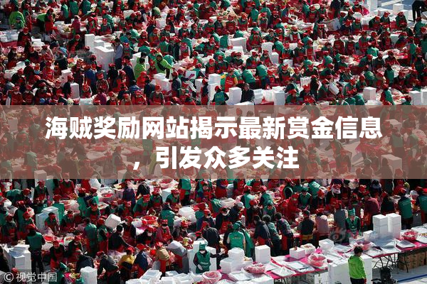 海贼奖励网站揭示最新赏金信息，引发众多关注