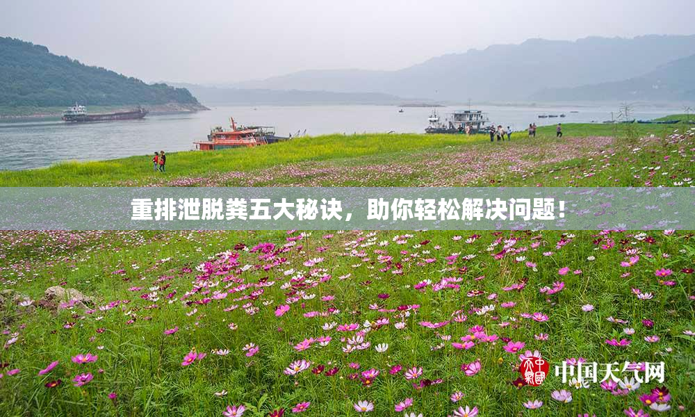 重排泄脱粪五大秘诀，助你轻松解决问题！