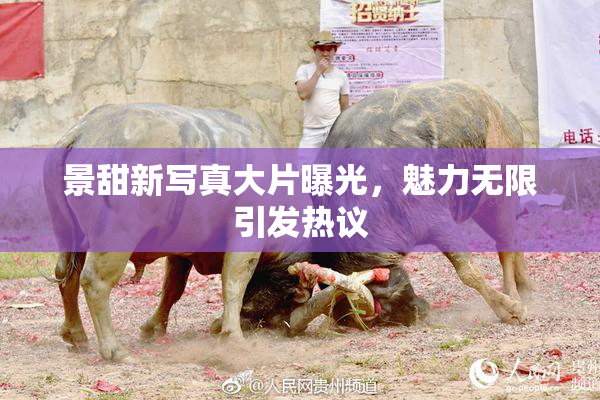 景甜新写真大片曝光，魅力无限引发热议