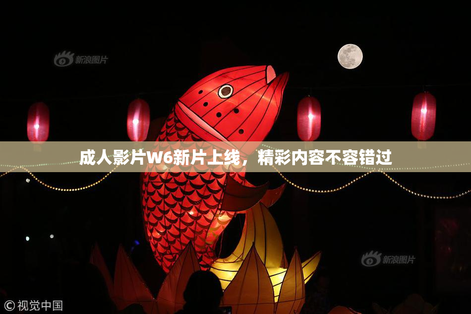 成人影片W6新片上线，精彩内容不容错过