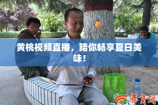 黄桃视频直播，陪你畅享夏日美味！