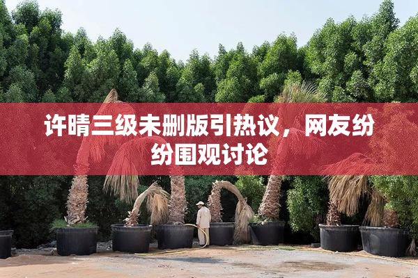 许晴三级未删版引热议，网友纷纷围观讨论