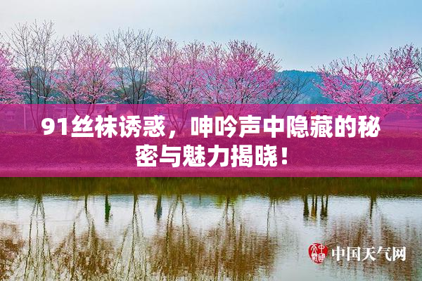 91丝袜诱惑，呻吟声中隐藏的秘密与魅力揭晓！