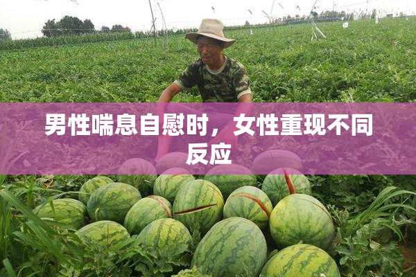 男性喘息自慰时，女性重现不同反应