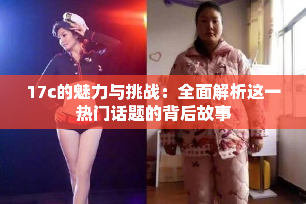 17c的魅力与挑战：全面解析这一热门话题的背后故事
