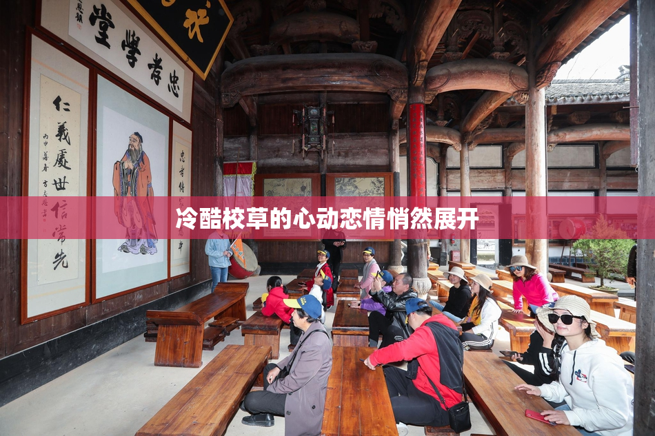 冷酷校草的心动恋情悄然展开