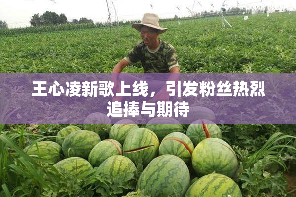 王心凌新歌上线，引发粉丝热烈追捧与期待