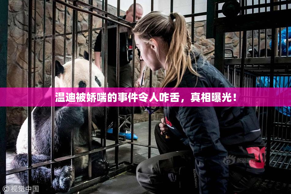 温迪被娇喘的事件令人咋舌，真相曝光！