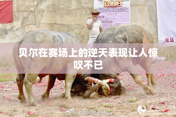 贝尔在赛场上的逆天表现让人惊叹不已