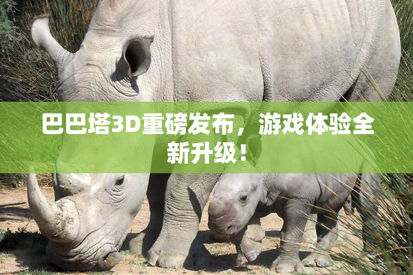 巴巴塔3D重磅发布，游戏体验全新升级！