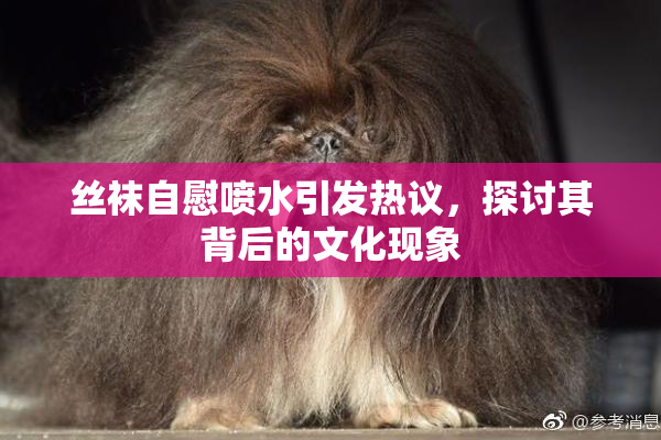 丝袜自慰喷水引发热议，探讨其背后的文化现象