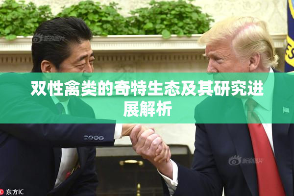 双性禽类的奇特生态及其研究进展解析