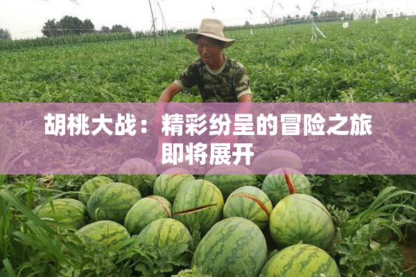 胡桃大战：精彩纷呈的冒险之旅即将展开